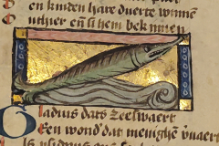 Der-naturen-bloeme-II-10