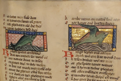 Der-naturen-bloeme-II-3