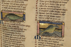 Der-naturen-bloeme-II-5