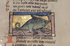 Der-naturen-bloeme-II-6