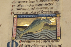 Der-naturen-bloeme-II-8