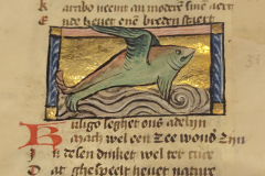 Der-naturen-bloeme-II-9