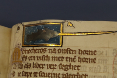 Der-naturen-bloeme-10