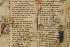 Der-naturen-bloeme-2