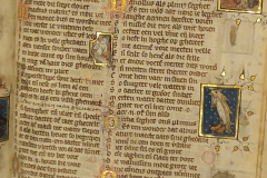 Der-naturen-bloeme-3