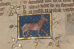 Der-naturen-bloeme-5