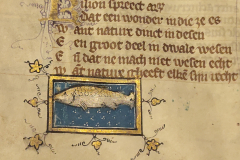 Der-naturen-bloeme-6