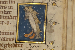 Der-naturen-bloeme-8