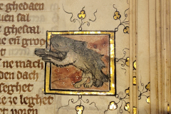 Der-naturen-bloeme-9