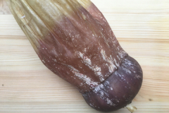 Farbe-in-Blase-trocknen-2