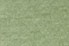 Farbprobe-Ligustergruen