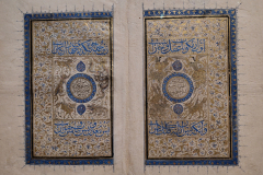 Wunder-der-Schoepfung-und-die-Seltsamkeit-des-Daseins