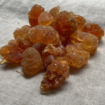Gummi arabicum - Natur