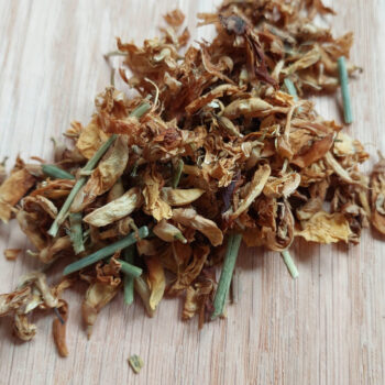 Färberginsterkraut geschnitten